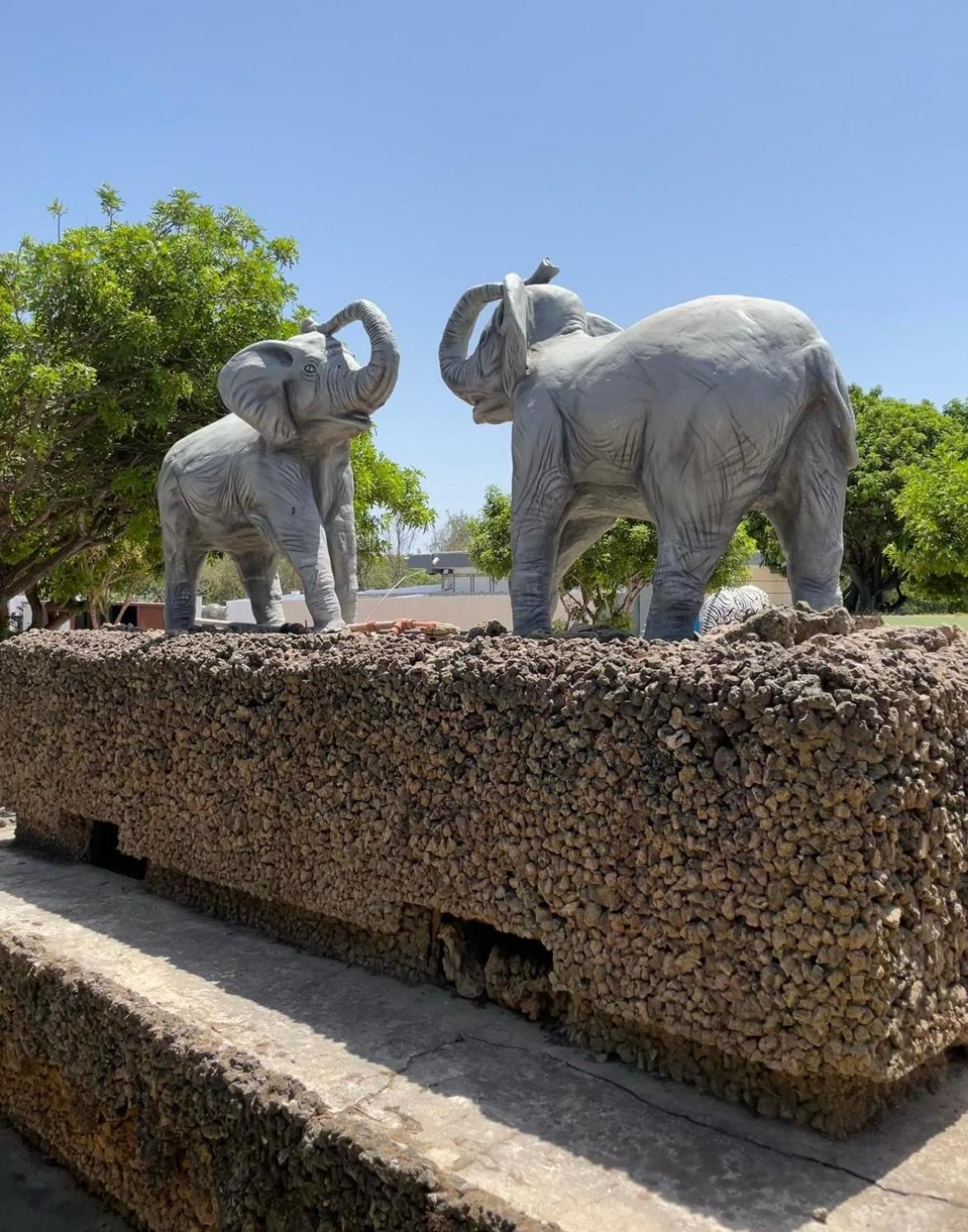 Camping Nature & Mer Tahadart - Bungalows Briech Exterior foto