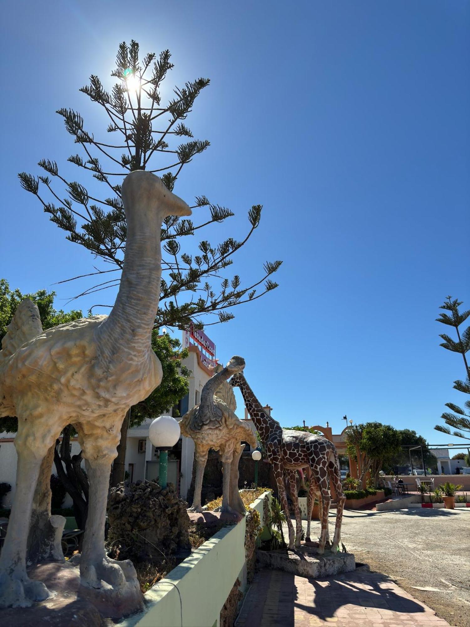 Camping Nature & Mer Tahadart - Bungalows Briech Exterior foto